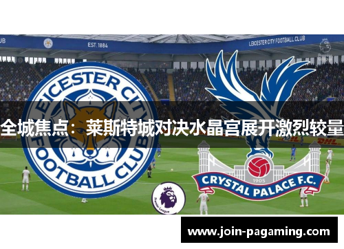 全城焦点:莱斯特城对决水晶宫展开激烈较量 全城焦点:莱斯特城对决水晶宫展开激烈较量