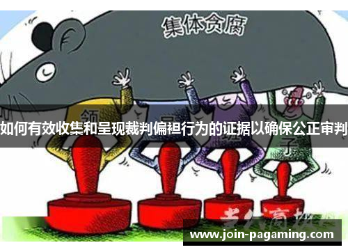 如何有效收集和呈现裁判偏袒行为的证据以确保公正审判