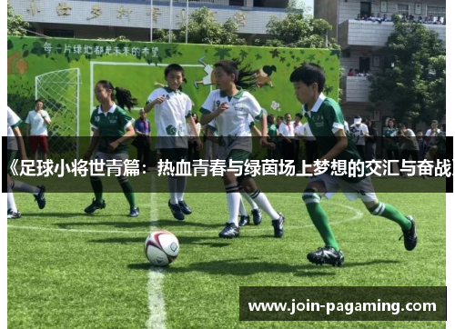 《足球小将世青篇：热血青春与绿茵场上梦想的交汇与奋战》