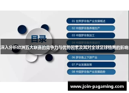 深入分析欧洲五大联赛的竞争力与优势因素及其对全球足球格局的影响 深入分析欧洲五大联赛的竞争力与优势因素及其对全球足球格局的影响
