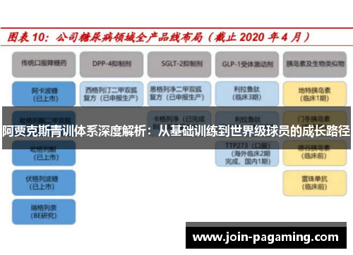 阿贾克斯青训体系深度解析:从基础训练到世界级球员的成长路径 阿贾克斯青训体系深度解析:从基础训练到世界级球员的成长路径