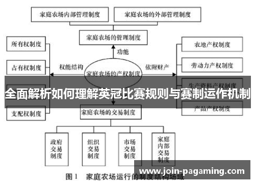 全面解析如何理解英冠比赛规则与赛制运作机制