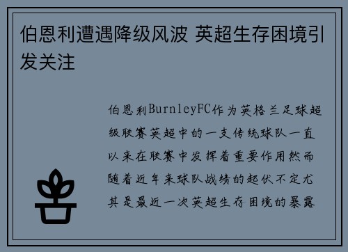 伯恩利遭遇降级风波 英超生存困境引发关注