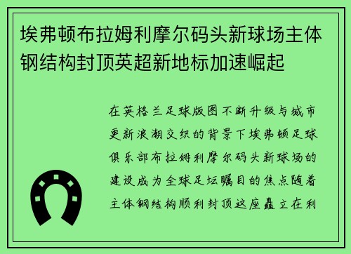 埃弗顿布拉姆利摩尔码头新球场主体钢结构封顶英超新地标加速崛起 埃弗顿布拉姆利摩尔码头新球场主体钢结构封顶英超新地标加速崛起